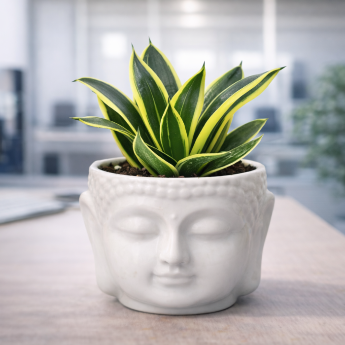 Budha ceramic pot
