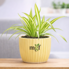 ChatGPT Image Feb 2, 2026, 05_32_25 PM