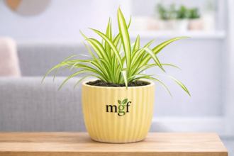 ChatGPT Image Feb 2, 2026, 05_32_25 PM