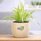 ChatGPT Image Feb 2, 2026, 05_39_08 PM