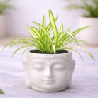 ChatGPT Image Feb 2, 2026, 05_56_18 PM