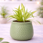 ChatGPT Image Feb 2, 2026, 06_07_47 PM