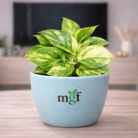 ChatGPT Image Feb 2, 2026, 10_18_16 AM