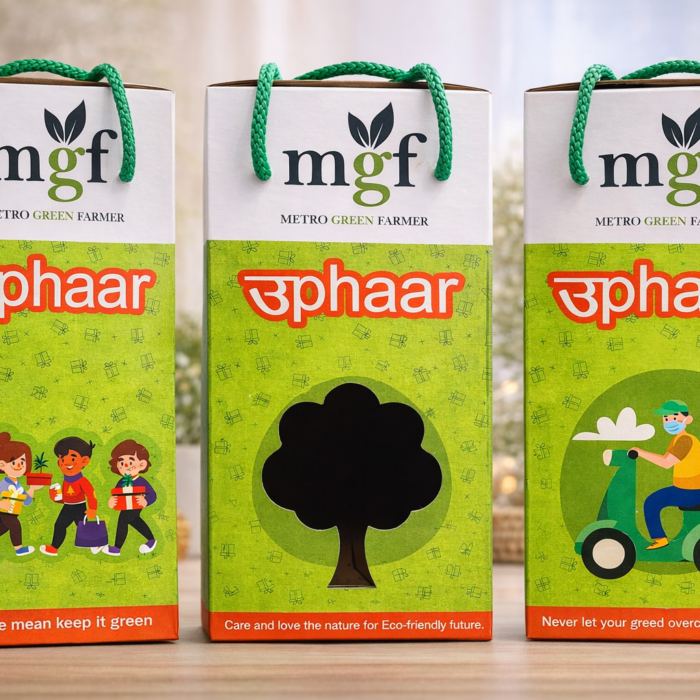 ChatGPT Image Jan 8, 2026, 02_46_57 PM ChatGPT Image Jan 8, 2026, 02_46_57 PM