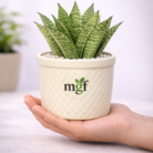 ChatGPT Image Jan 29, 2026, 07_05_00 PM