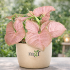 ChatGPT Image Jan 30, 2026, 10_03_46 PM