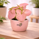 ChatGPT Image Jan 30, 2026, 10_16_20 PM