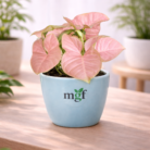 ChatGPT Image Jan 30, 2026, 10_19_10 PM