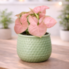 ChatGPT Image Jan 30, 2026, 10_29_19 PM