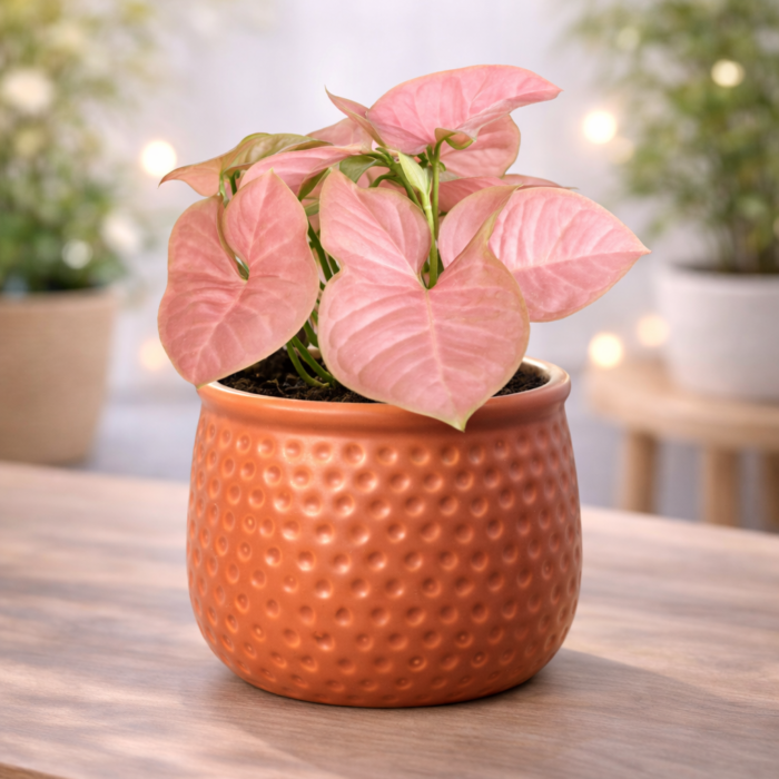 ChatGPT Image Jan 30, 2026, 10_31_47 PM