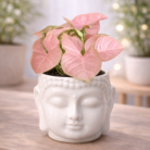 ChatGPT Image Jan 30, 2026, 10_37_26 PM