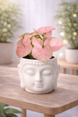 ChatGPT Image Jan 30, 2026, 10_37_26 PM