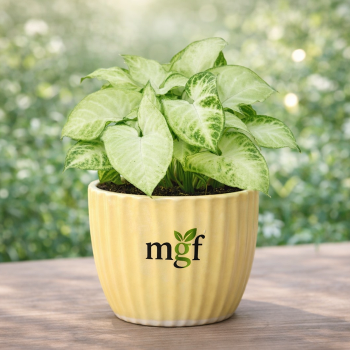 ChatGPT Image Jan 30, 2026, 10_48_40 PM