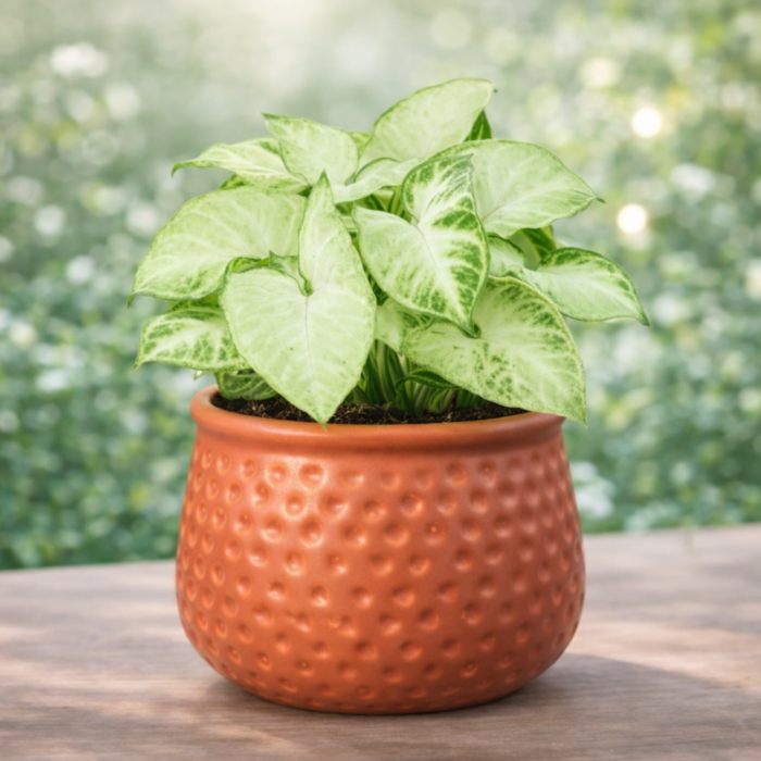 ChatGPT Image Jan 30, 2026, 10_50_25 PM