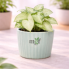 ChatGPT Image Jan 30, 2026, 10_54_49 PM