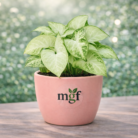 ChatGPT Image Jan 30, 2026, 10_59_34 PM