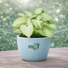 ChatGPT Image Jan 30, 2026, 11_09_32 PM