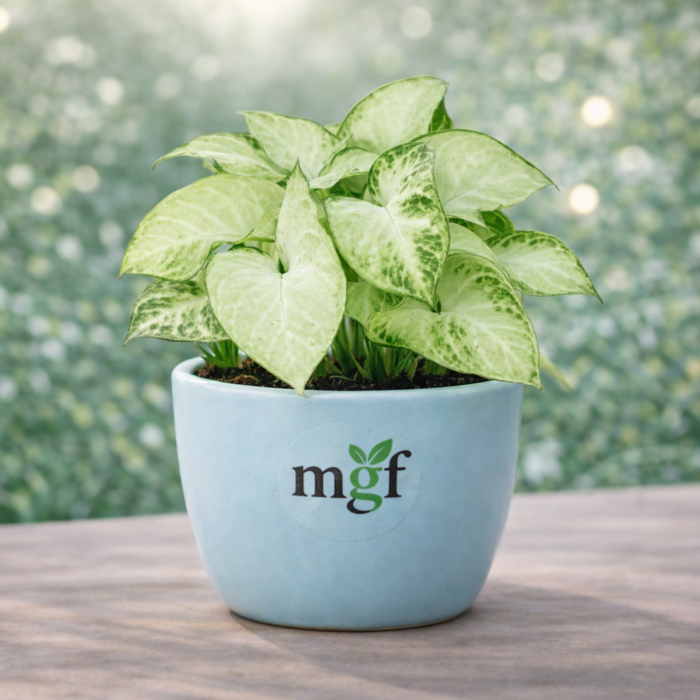 ChatGPT Image Jan 30, 2026, 11_09_32 PM