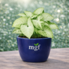 ChatGPT Image Jan 30, 2026, 11_12_15 PM