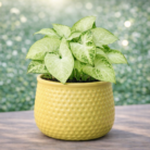 ChatGPT Image Jan 30, 2026, 11_16_08 PM