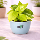 ChatGPT Image Jan 31, 2026, 07_44_57 PM