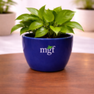 ChatGPT Image Jan 31, 2026, 12_07_25 PM