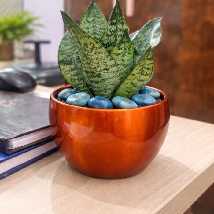 WhatsApp Image 2026-04-02 at 9.46.52 AM WhatsApp Image 2026-04-02 at 9.46.52 AM