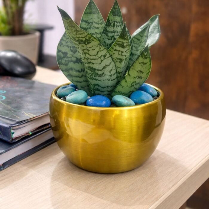 WhatsApp Image 2026-04-02 at 9.46.53 AM