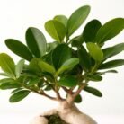 WhatsApp Image 2026-04-06 at 1.09.41 PM